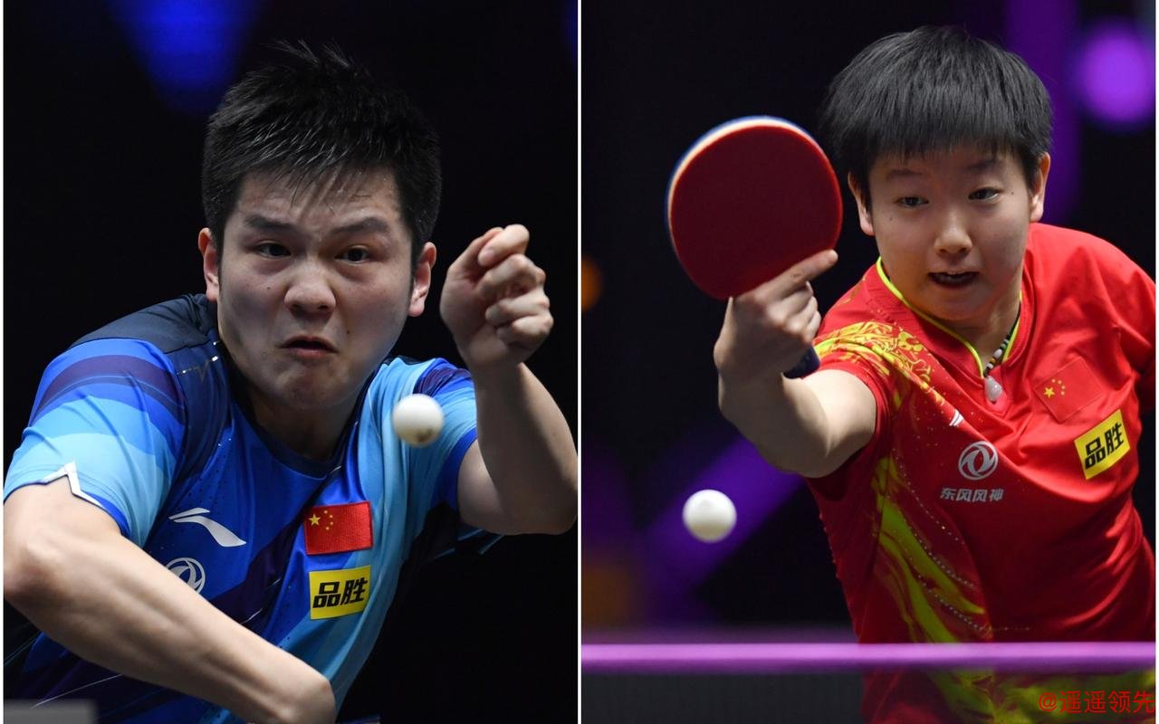 新乡冠军赛樊振东男单夺冠 孙颖莎折桂豪取21连胜