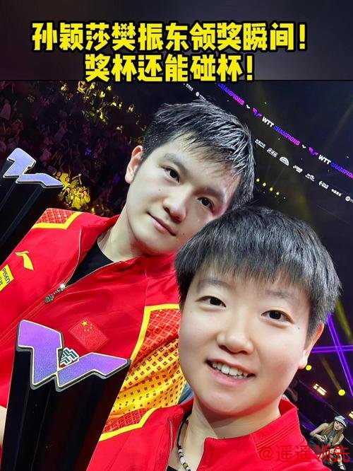 新乡冠军赛樊振东男单夺冠 孙颖莎折桂豪取21连胜