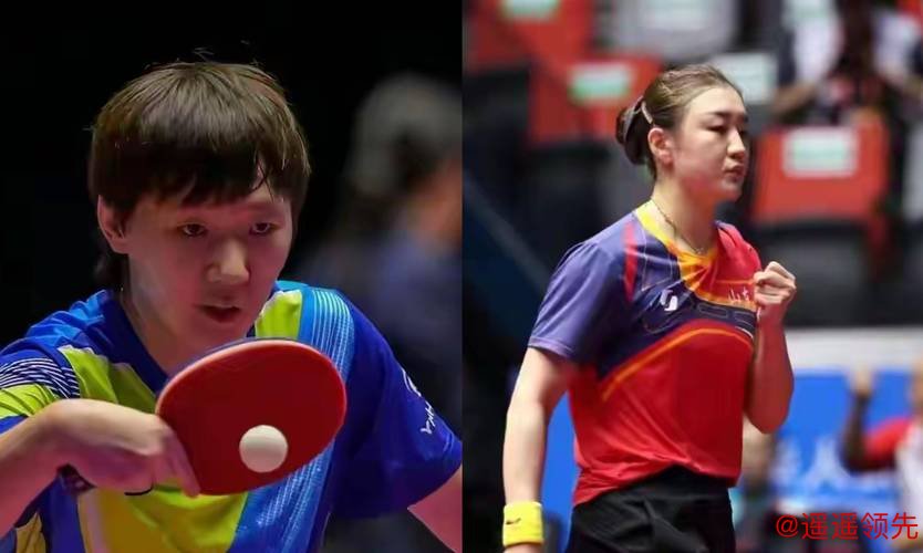 新乡冠军赛马龙张本无缘8强 陈梦王曼昱横扫晋级